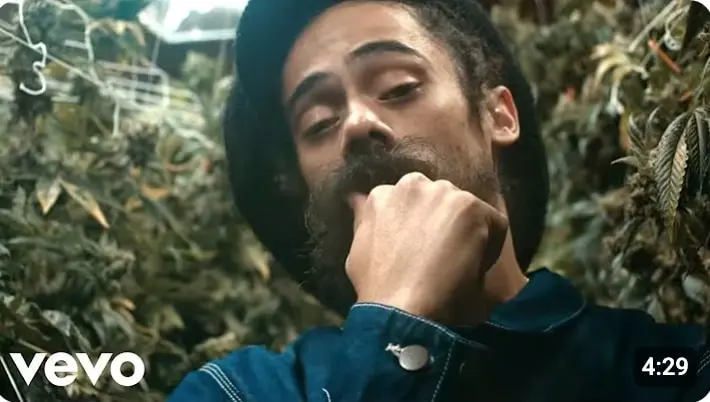 Damian-Marley-Medication